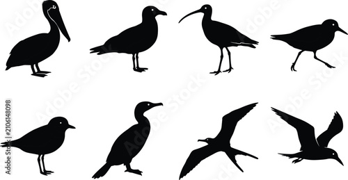 Foto Vector silhouettes of various coastal and sea birds including pelican seagull co