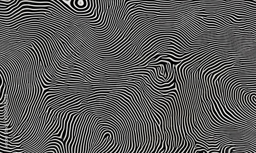 Abstract black and white swirling lines forming a complex organic pattern.
