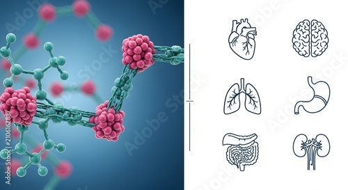 Scientific Molecular Structure in Focus with Organ System Icons