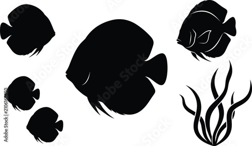 Quadro su tela Discus Fish Aquarium Silhouette Icons Set with Underwater Seaweed Plants for Vec