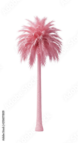 a single mature palm tree, rendered in ultra-photorealistic pastel pink 3d, set against a soft lavender/gray gradient studio background under shadowless cinematic light. Minimalist pastel tropical
