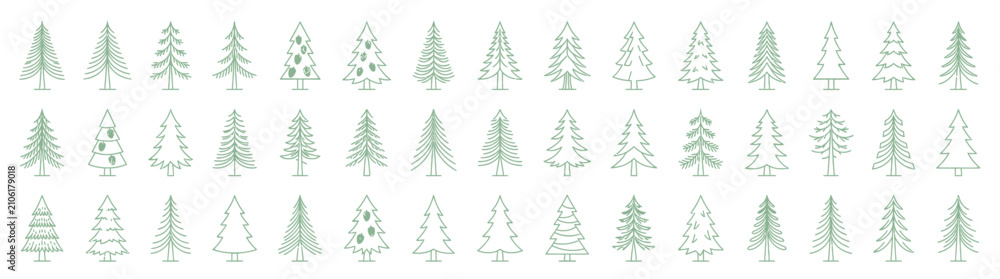 Fototapeta premium Collection of Hand-Drawn Evergreen Tree Illustrations