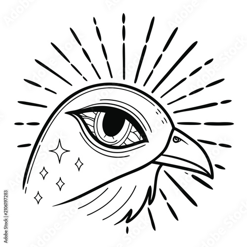 vector illustration of an eye