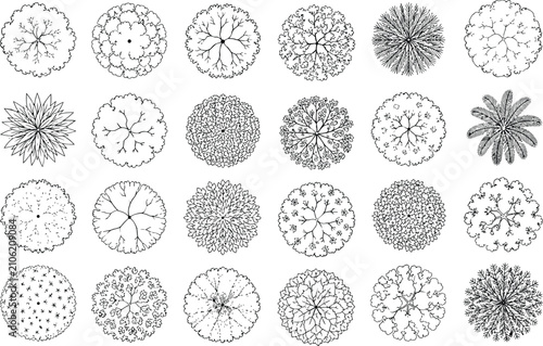 Top view and side view, set of graphics trees elements outline symbol for architecture and landscape design drawing. Vector illustration