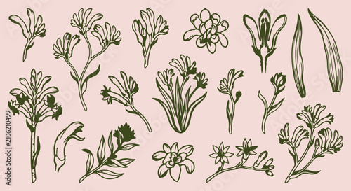 Bild auf Leinwand hand drawn bellflower seamless pattern, vintage botanical floral vector backgrou