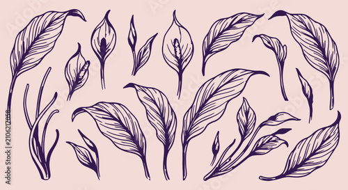 Obraz na płótnie hand drawn peace lily seamless pattern, vintage spathiphyllum vector illustratio