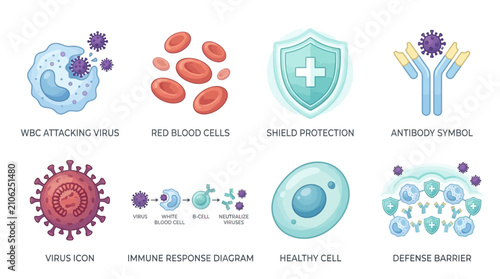 Immune system icons visualizing biological processes include white blood cells, red cells, protective shields, antibodies, viral structures, and defense barriers against pathogenic infection.