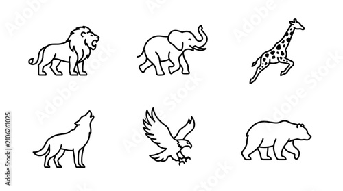 Photography Wild Animal Outline Icons Set Black Line Vector on White Background