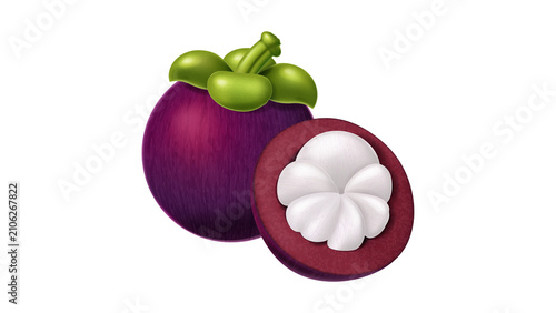 Fotografie Fresh Mangosteen Graphic Showing a Whole Purple Fruit with Green Calyx and a Cro