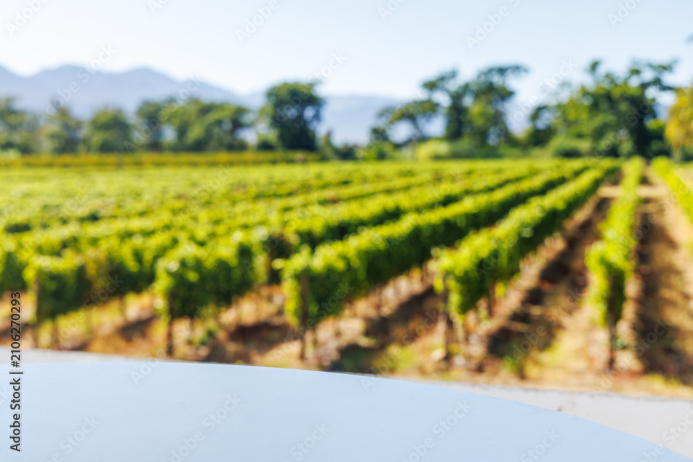 Obraz premium Empty table in sunlit vineyard mockup