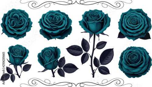 Bild auf Leinwand Set of elegant teal roses and decorative floral swirls, featuring various blooming flower heads, buds, and dark leaves, isolated vector illustration for design projects