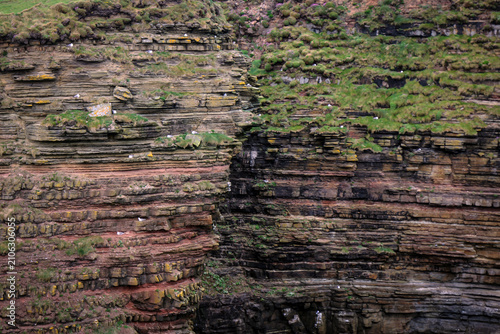 Cliffs near Duncansby Stacks with wild birds colonies, North Scotland