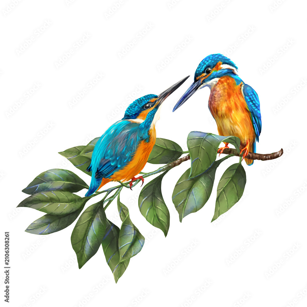 Obraz premium Two blue-red kingfishers is perched on a summer tree branch