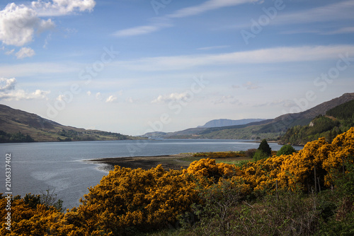 Scenic road view, Assynt area, North Scotland