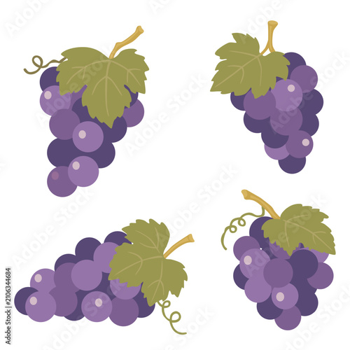 grape isolated on white background .Vector illustration	