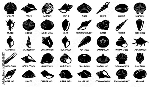 Quadro su tela Black Seashell Silhouettes Vector Set with Marine Shell Collection Isolated on W