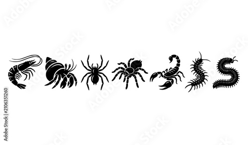 Schilderij op canvas Creepy crawly arachnids and arthropods black silhouette vector icon set isolated