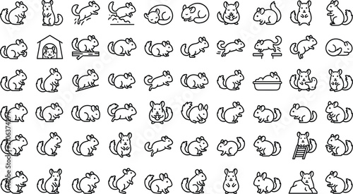 Foto Chinchilla Pet Care Line Icon Set with Outline Symbols for Cute Rodent Behavior,