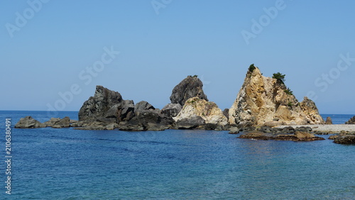 Canvastavla Wild Japanese Macaques on the Scenic Rocky Coast of Hagachizaki Monkey Bay in Iz