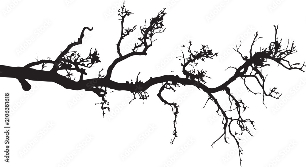 Fototapeta premium Dry Tree Branch Vector Shape Design