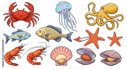 Photography Seafood ocean creatures collection 6.