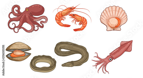 Photography Seafood ocean creatures collection 8.