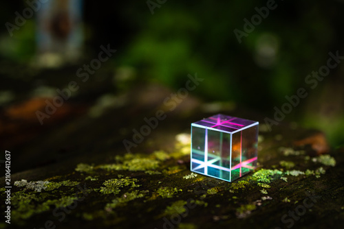 Canvastavla A small dichroic glass cube sits on mossy wood catching sunbeams