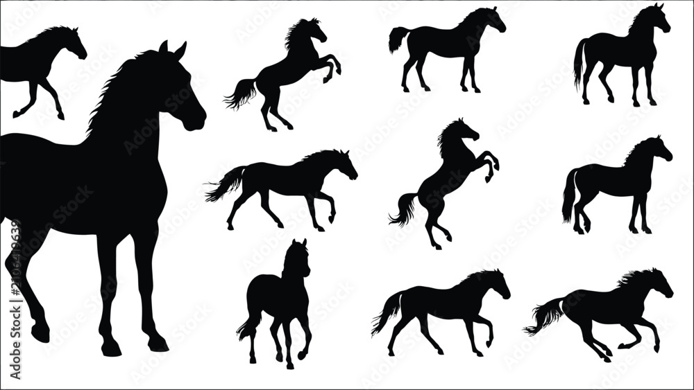 Fototapeta premium Black horse silhouette mega collection set with rearing standing trotting and galloping positions vector illustration
