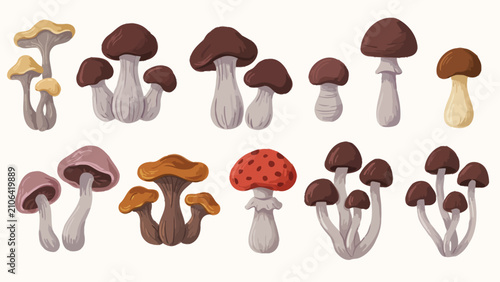 Foto Cute cartoon colorful mushrooms collection set with amanita chanterelle and porc