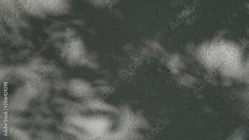 Shadow of a plant on the wall. Blurred Light shadow from a branch of tropical flowers on a sunny white wall on a clear day. Overlay effect background 