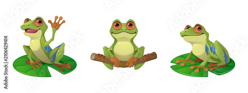 Billede på lærred Cute cartoon frog sitting on lily pad in forest pond