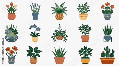 Foto Professional Collection of 15 Colorful Potted Plants and Flowers for Home Decor