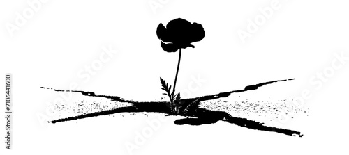 Black silhouette of a single flower growing through a crack in the ground representing hope and resilience isolated on transparent background, Vector