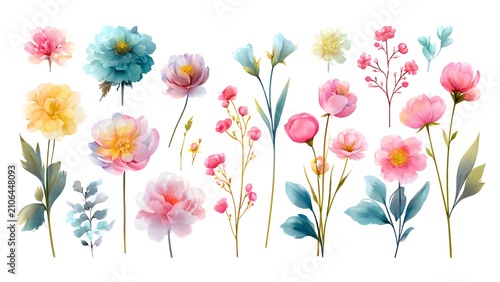 Colorful Watercolor Flowers Row Blown Across White