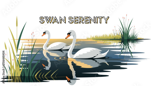 Very beautiful realistic vector illustration of TWO SWANS ON A REFLECTIVE LAKE featuring a bold wildlife label reading 