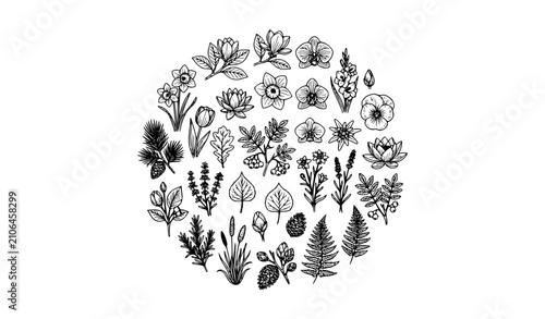 Canvas Print Mountain Flowers and Leaves Line Art Vector Collection with Botanical Editable S