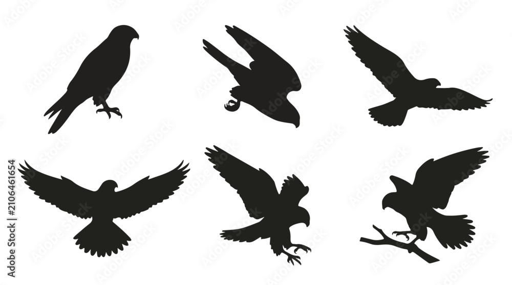 Fototapeta premium A set of six falcon birds in various poses silhouette vector icon illustrations on a white background 