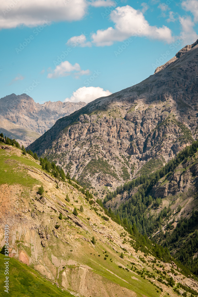 Fototapeta premium Panoramic mountain view near Livigno, Italy, with alpine larch trees, rocky cliffs, and picturesque summer scenery.