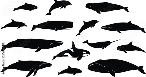 Canvastavla Black silhouette vector illustration set of whales and dolphins marine life