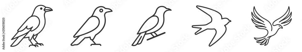 Obraz premium set of five different bird outlines black line art vector illustrations on transparent background