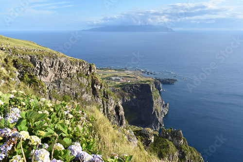 Cuadro en lienzo A breathtaking panoramic view featuring rugged cliffs adorned with vibrant hydra