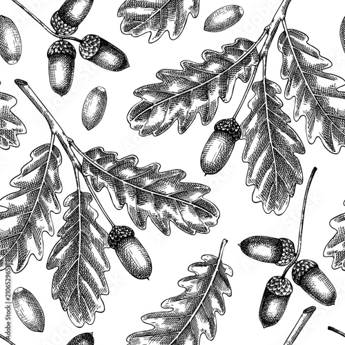 Autumn background. Oak tree branch with leaves and acorns hand drawn vector illustrations. Hardwood treeseamless patern. NOT AI generated 
