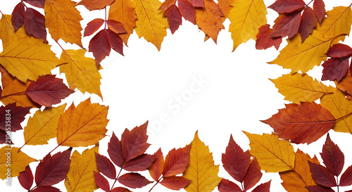 Autumn Maple Leaf Circle Frame with Vibrant Fall Foliage Background