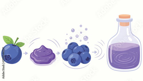 A whimsical sequence illustrating the transformation of a single ripe blueberry into a vibrant