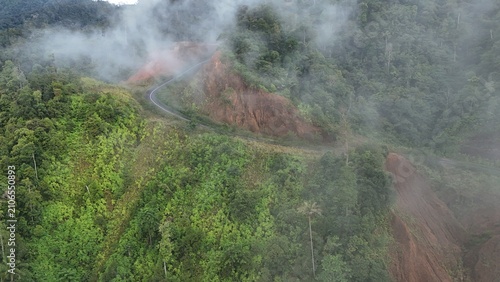 Bild auf Leinwand Aerial View of Winding Mountain Road Through Tropical Rainforest with Morning Mi