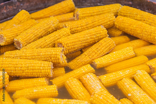 Obraz na plátne Corn on cob, bright yellow kernels, juicy texture, cut into pieces, appetizing p