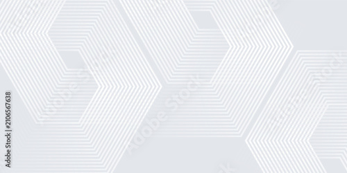 Фотография gray and white abstract background modern vector illustration