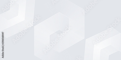Bild auf Leinwand gray and white abstract background modern vector illustration