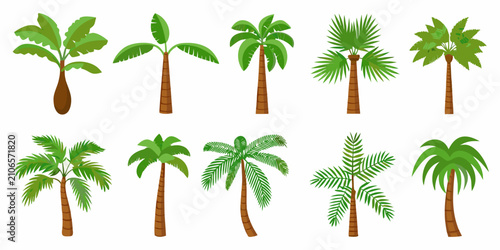 Tableau sur toile Palm tree illustrations with varying frond shapes on a white background