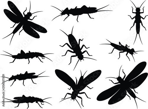Black Stonefly Insect Silhouette Pattern Vector Illustration Set On Clean White Background Design